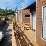 Eluney Pichilemu