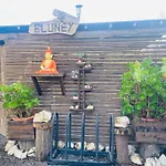 Eluney Pichilemu